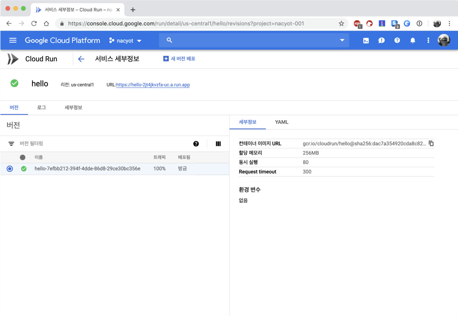 서비스가 생성되면 URL을 확인할 수 있습니다