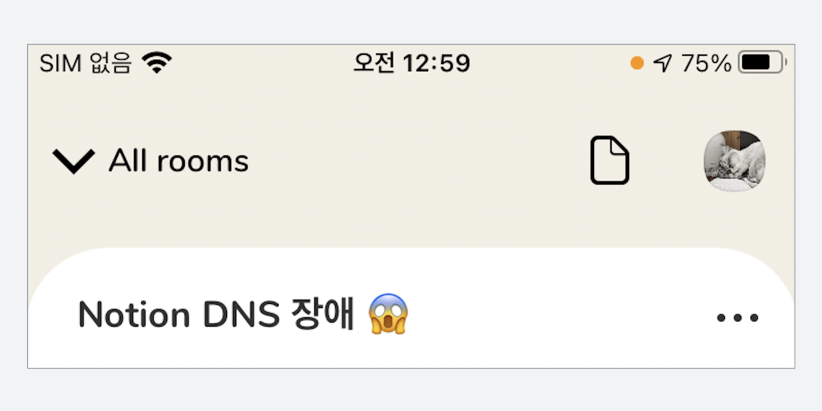 클럽하우스 - Notion DNS 장애 논의 방