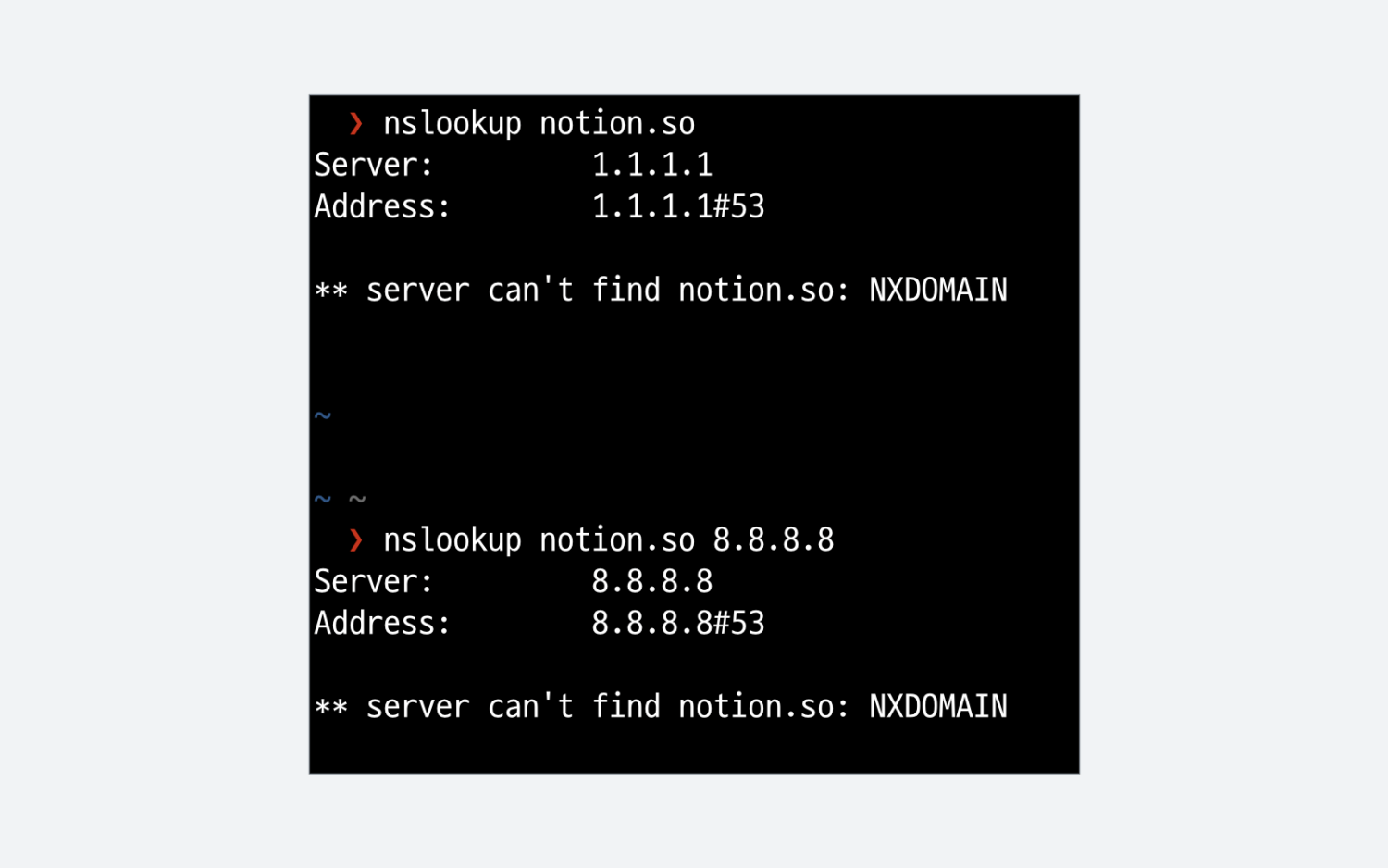notion.so 도메인을 nslookup으로 조회한 결과